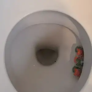Chcesz być moja toaleta?