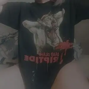 Zdjęcie profilowe Kotka1267