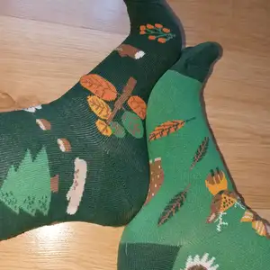 Jesienne przetarte skietki