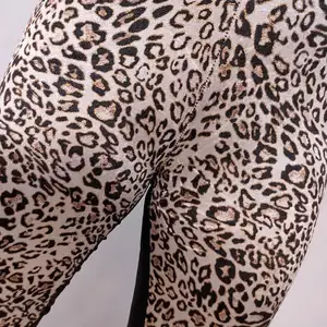 Leginsy