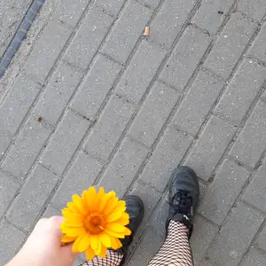 Ikona użytkownika Mrs.Stopkara