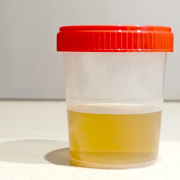 500 ml. Piss, siku, siusiu na specjalne zamówienie