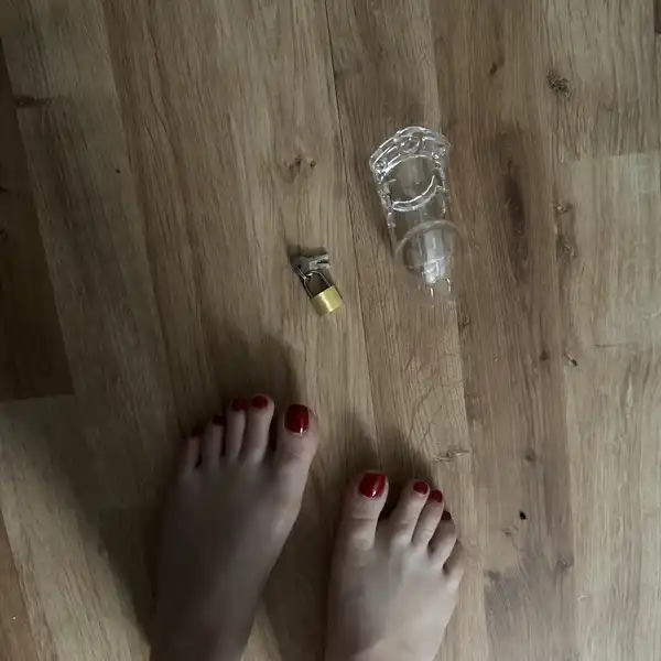 Pas cnoty cały zestaw kluczyk kłódka