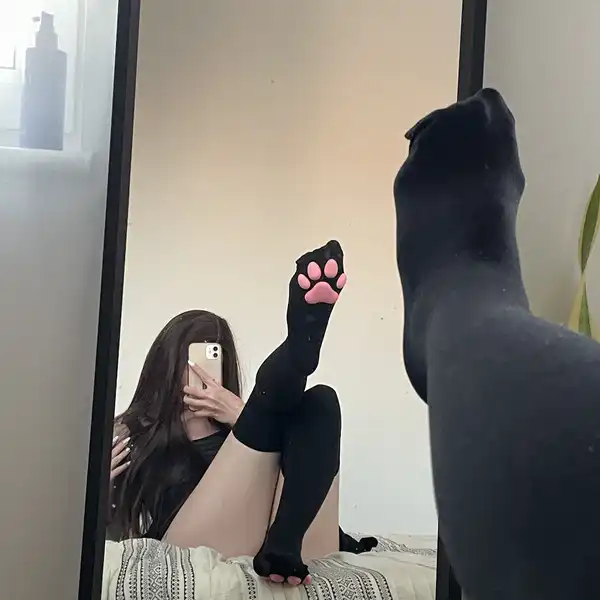Zakolanówki kotki ;3