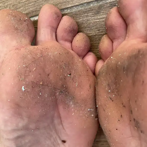 danina za przywilej istnienia w moim cieniu