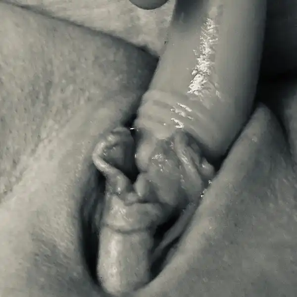 Scat Królowej gównojadów