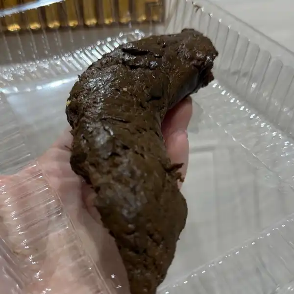 Dzisiejszy kawior z teraz gowno kupa scat kupka