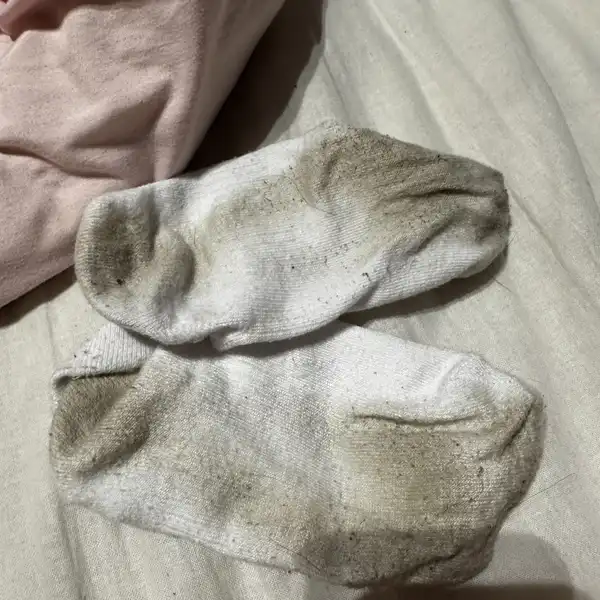 Brudne skarpety dla psa